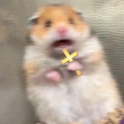 FluidPatriarcat's profile picture. 