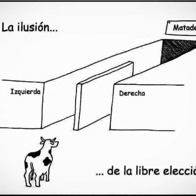 davidarequipa's profile picture. 