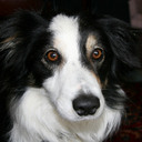 Jess Jane - @JessJaneCollie - Twitter