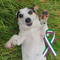 funkgoddess (@article29) 's Twitter Profile