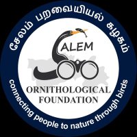 Salem Ornithological Foundation(@salembirds) 's Twitter Profile Photo