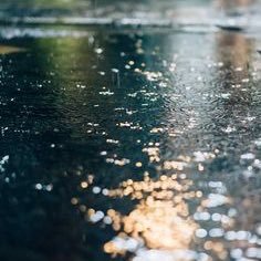 tsubaki_017's profile picture. UVERworld