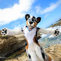 Brandog๐ถ๐LVFC, FWA (@brandogie) 's Twitter Profile Photo Brandog๐ถ๐LVFC, FWA (@brandogie) 's Twitter Profile Photo
