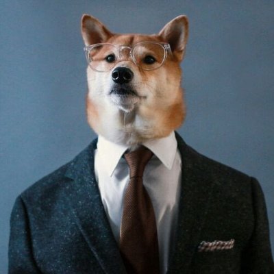 President an CEO of an Emerging AMZN Merch Co. 
DOGE advocate.
Here To inspire and nurture the human spirit — one person, one Idea, and one community at a time.