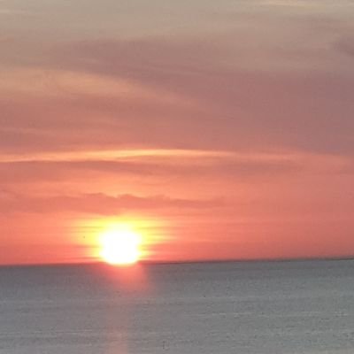 Sophiauhlala's profile picture. 