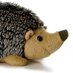 Herbie Hedgehog (@hedgehog_herbie) Twitter profile photo