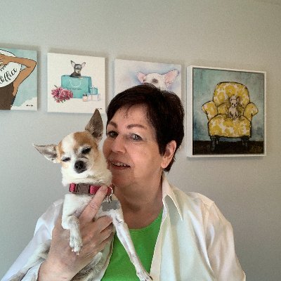 Voted #2 Chihuahua Blog 2021! An educational website on Chihuahua health|nutrition|training|behavior. Join Today For Free! 👉https://t.co/66ZMM694mf
