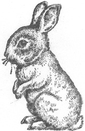 TheRabbitHutch1's profile picture. The Rabbit Hutch is Bethel Park's newest upscale furniture and home décor consignment shop!