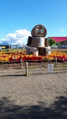 ポイ活、節約を楽しくやっています！美味しいもの好き！お菓子、ジュース大好きです。