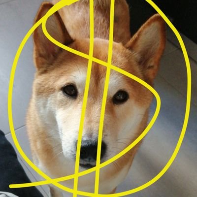 Adriano35148310's profile picture. 