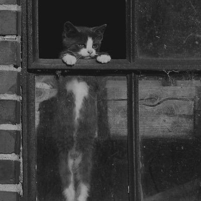 quiip11's profile picture. 