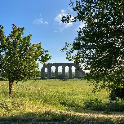 StefaniaCort's profile picture. Terapista della Neuro e Psicomotricità dell'Età Evolutiva