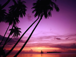 ResortHoldings's profile picture. we work with travel clubs, trade-in companies and industry professionals to offer FREE and Discounted PREMIUM timeshares.
