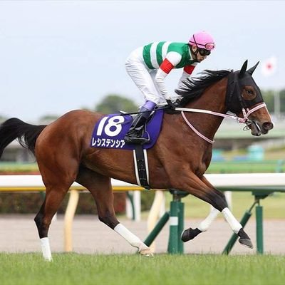 岐阜県出身。⚾千葉ロッテマリーンズ。🏀名古屋ダイヤモンドドルフィンズ。🏇(一口馬主)キャロット、東サラ、京サラ。👧(アイドル)乃木坂46。