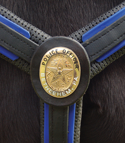Official Twitter Account of the Bethlehem Police Department Mounted Patrol Unit - Reining the City since 2009