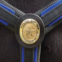 Bethlehem Mounties (@bethlehemmpu) 's Twitter Profile