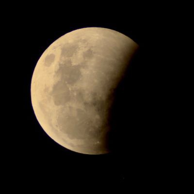 JOGASIN42400599's profile picture. 