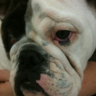 m2inus's profile picture. Believe none of what you hear and half of what you see