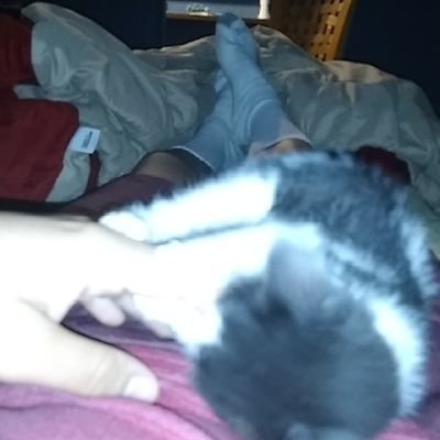 JorgeGa36515455's profile picture. Don't think I belong here