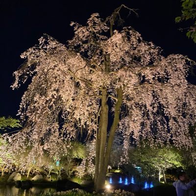 Megumi_0035's profile picture. ランク304.運極100