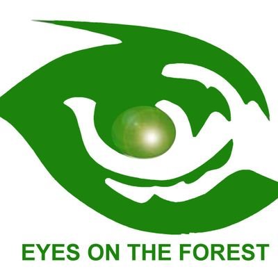 NGOs coalition to investigate deforestation in central Sumatra, Indonesia