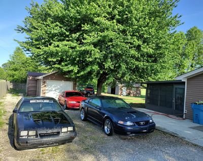 ThatFoxbodyGuy's profile picture. Cars, Foxbodies and Mustangs