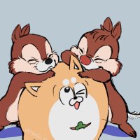 🐿💤しきたろ🐿💤(@shiki_taro8) 's Twitter Profile Photo