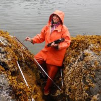 Dr. Sarah Traiger (@sarahtraiger) 's Twitter Profile