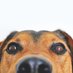 Onemij (@_onemij_) Twitter profile photo Onemij (@_onemij_) Twitter profile photo