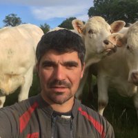 Jean-baptiste Roy (@jbroy71) 's Twitter Profile