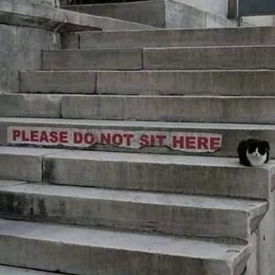 Hammer_head498's profile picture. I'm what no one needs.