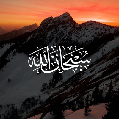 hash_taq's profile picture. 