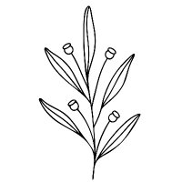 Bloom-Ed (@bloom_edau) 's Twitter Profile Photo Bloom-Ed (@bloom_edau) 's Twitter Profile Photo