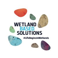 Wetland-based Solutions(@WetlandsNbS) 's Twitter Profile Photo