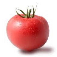 Dannymydog's profile picture. 働きたくないでござる。貴殿とて、そうでござろう。