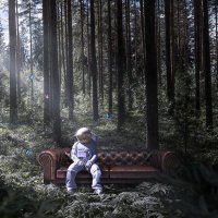 SolFx (@solfx1) 's Twitter Profile