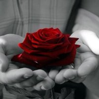 Myleadres (@myleadres) Twitter profile photo