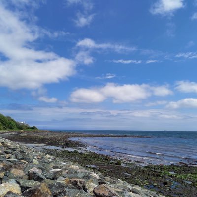 Collins2Pauline's profile picture. 