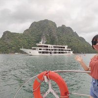 MyHanh ❤️ Memecoin (@myhanh33882528) 's Twitter Profile