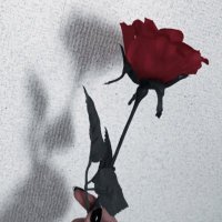 ミントティー (@mint_ryuji0117) 's Twitter Profile