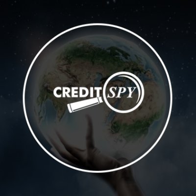 Creditspy produce e fornisce un sistema di reportistica in tempo reale per la valutazione e la verifica della solvibilità aziendale.