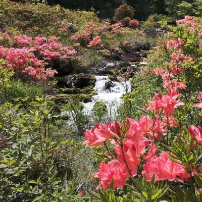 六合のアナログおじさんです。　　群馬県吾妻郡中之条町の旧六合村の情報を発信してまいります。　自然豊かな六合にぜひお越しいただき、大自然に親しんでいただければ幸いです。