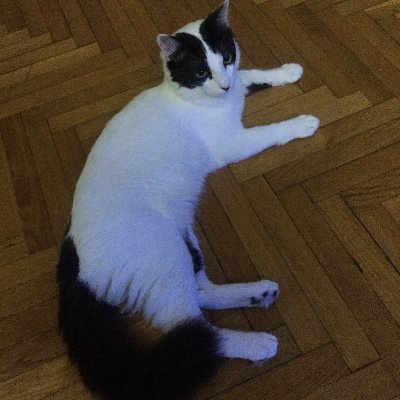 margabur1's profile picture. 