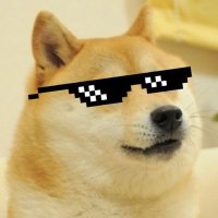 Mrcool (@mrcooldoge) 's Twitter Profile