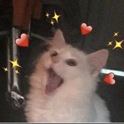 제티빤스🌱さんのプロフィール画像