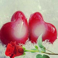 ibrahimmahyoibrahim (@4e2f700d501544a) 's Twitter Profile