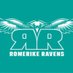 RomerikeRavens (@romerikeravens) Twitter profile photo RomerikeRavens (@romerikeravens) Twitter profile photo