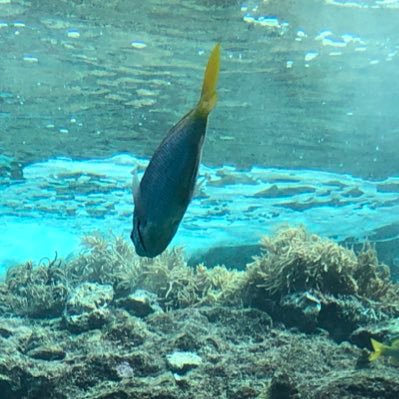 taku28841368's profile picture. 社会人一年目 先払いしません 顔写真も送りません