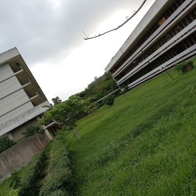 outliers__'s profile picture. Civil Engineer || Data Scientist