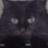 izm_'s profile image